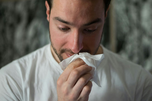 The Best Car Air Purifiers for Allergy Sufferers