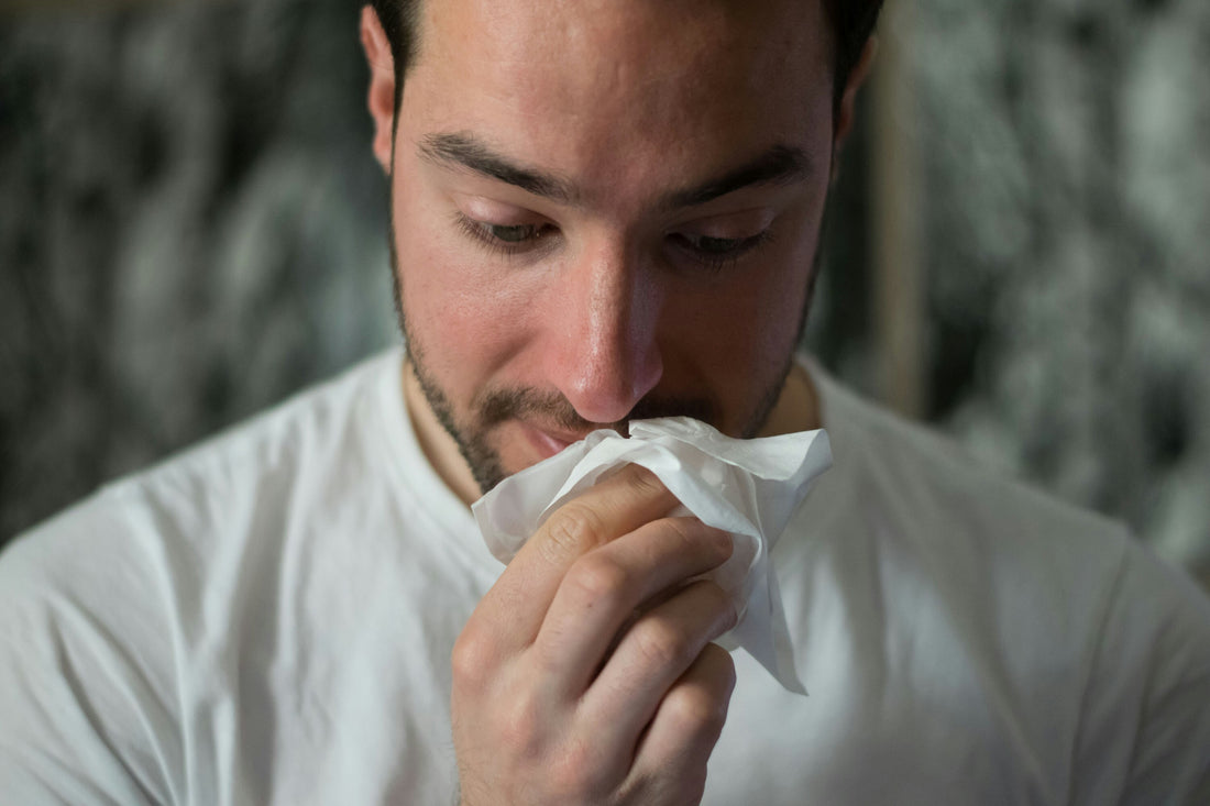 The Best Car Air Purifiers for Allergy Sufferers